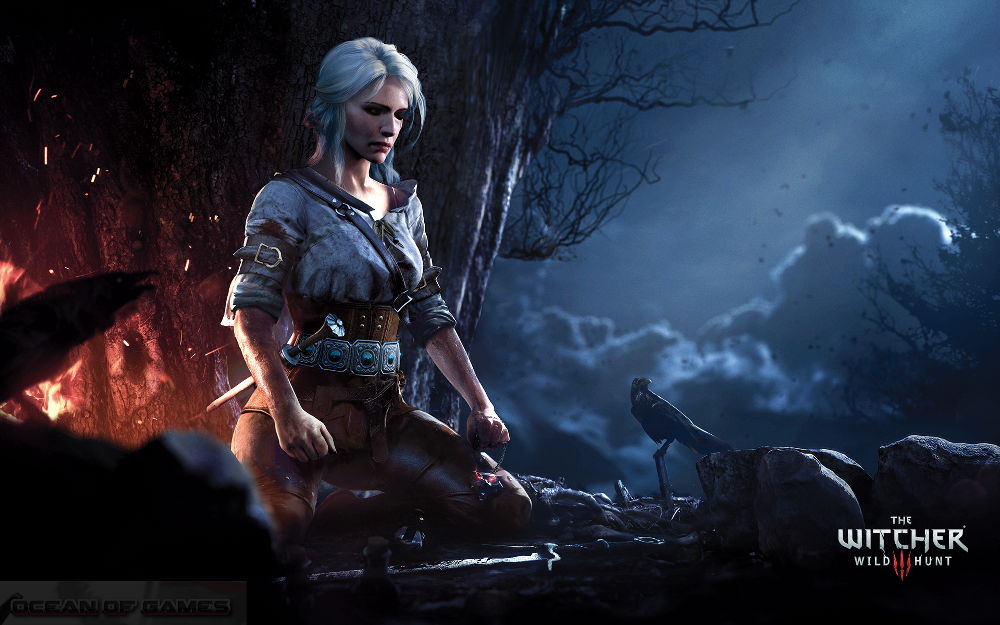 the witcher 3 mac torrent